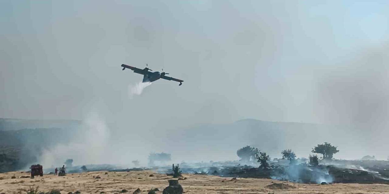 İzmir’de Otluk Alanda Yangın