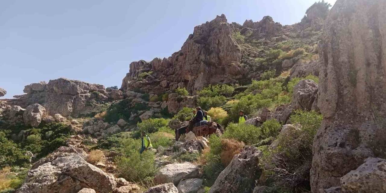 Siirt’te Dağ Başında Rahatsızlanan Çoban At Sırtında Ambulansa Ulaştırıldı