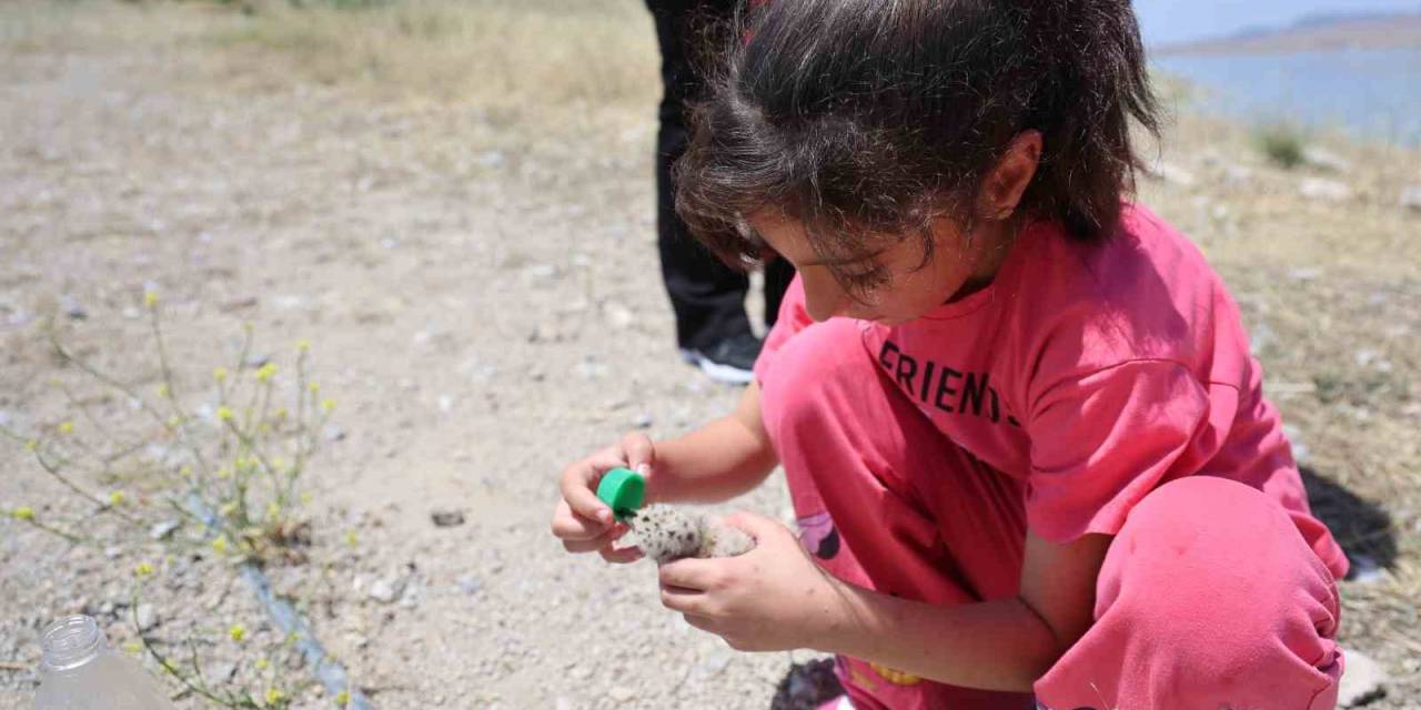 8 Yaşındaki Kızın, Susuz Kalan Martı Yavrusunu Kurtarma Mücadelesi Yüreklere Dokundu