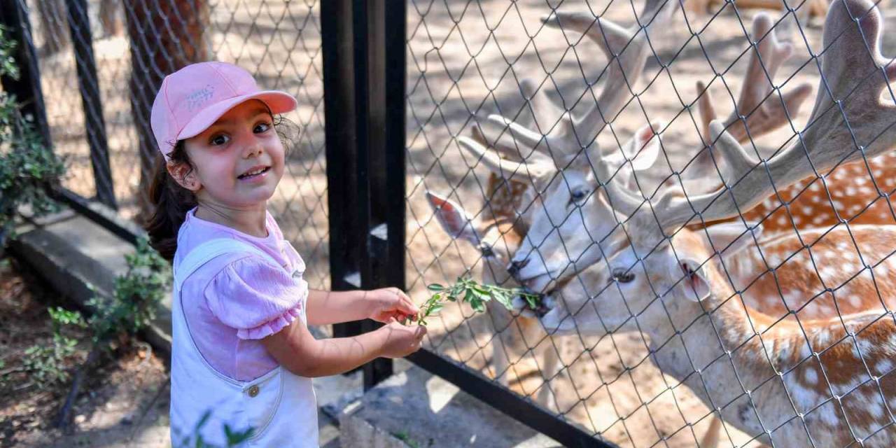 Tarsus Doğa Parkı, Bayram Tatilinin İlk 5 Gününde 16 Bine Yakın Kişiyi Ağırladı