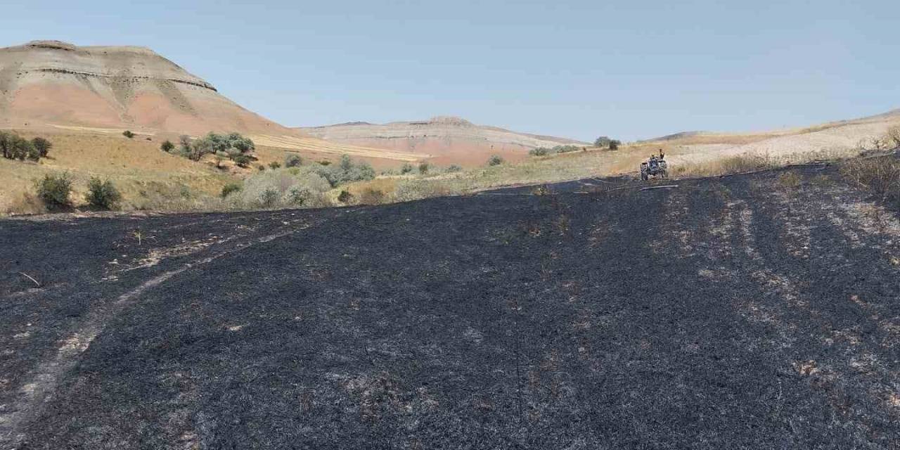 Yangın Badem Ve Fıstık Ağaçlarına Zarar Verdi