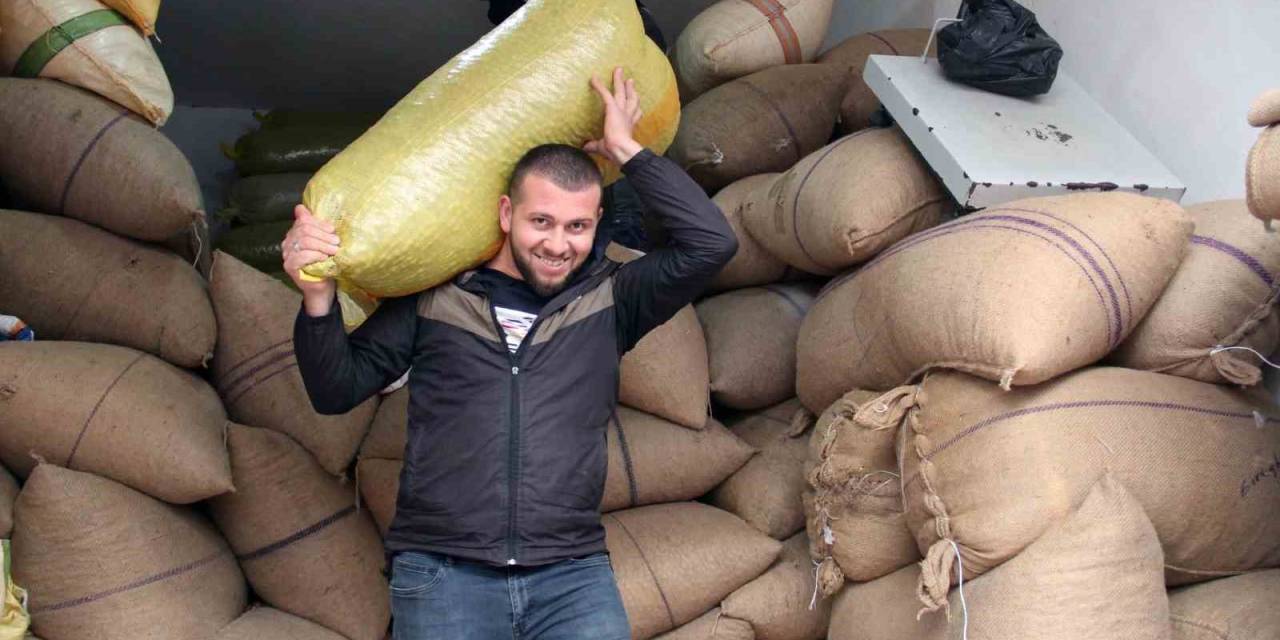 Fındığın En Ağır Yükünü Onlar Çekiyor