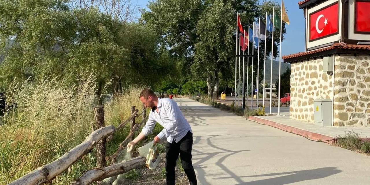 Osmaneli’nde Artan Yılanlara Kükürt Tozu İle Önlem Alınıyor