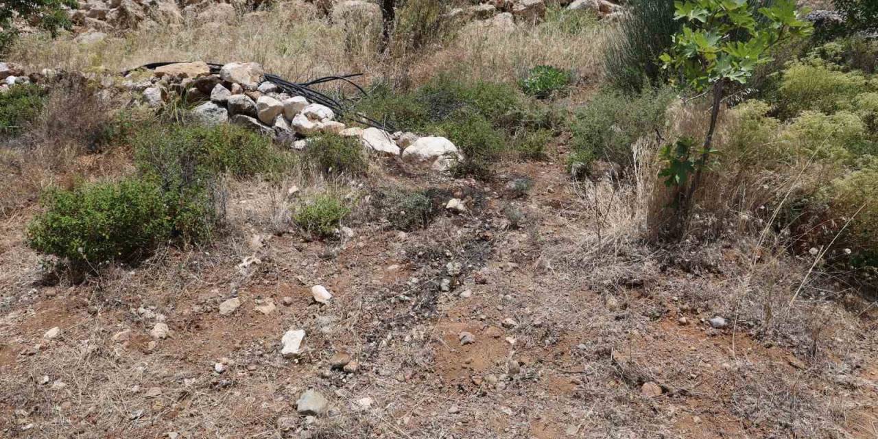 Her Yerde Aranıyordu, Bahçesini Sulayan Vatandaşın Aldığı Koku Üzerine Cesedi Bulundu