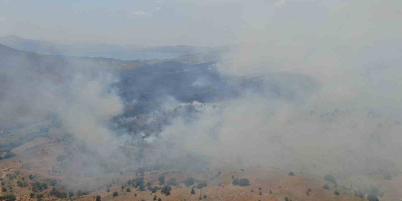 Elazığ’da Orman Yangını: Ekiplerin Havadan Ve Karadan Müdahalesi Sürüyor