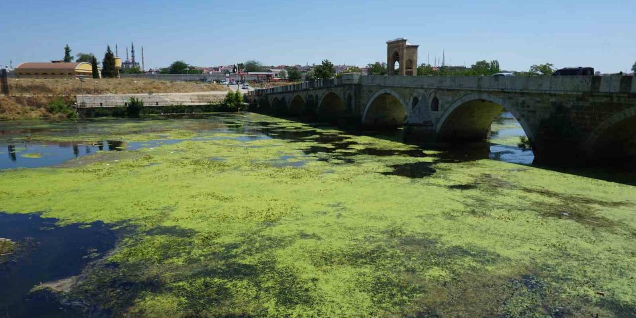 Edirne’de Tunca Nehri Yeşile Büründü