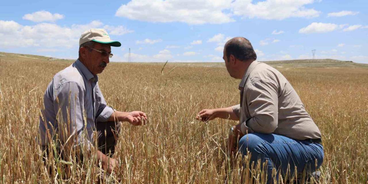 Nevşehir’de Dolu Yağışından 40 Bin Dekar Alan Zarar Gördü