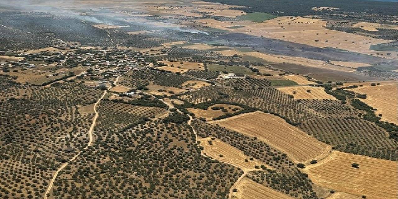 Ezine’de Tarım Arazisinde Başlayan Yangın Ormanlık Alana Sıçramadan Kontrol Altına Alındı