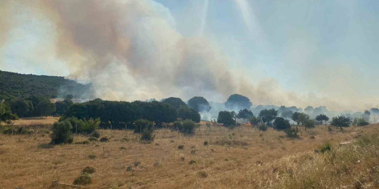 Çanakkale’de Alevlerin Tehdit Ettiği Köy Boşaltıldı