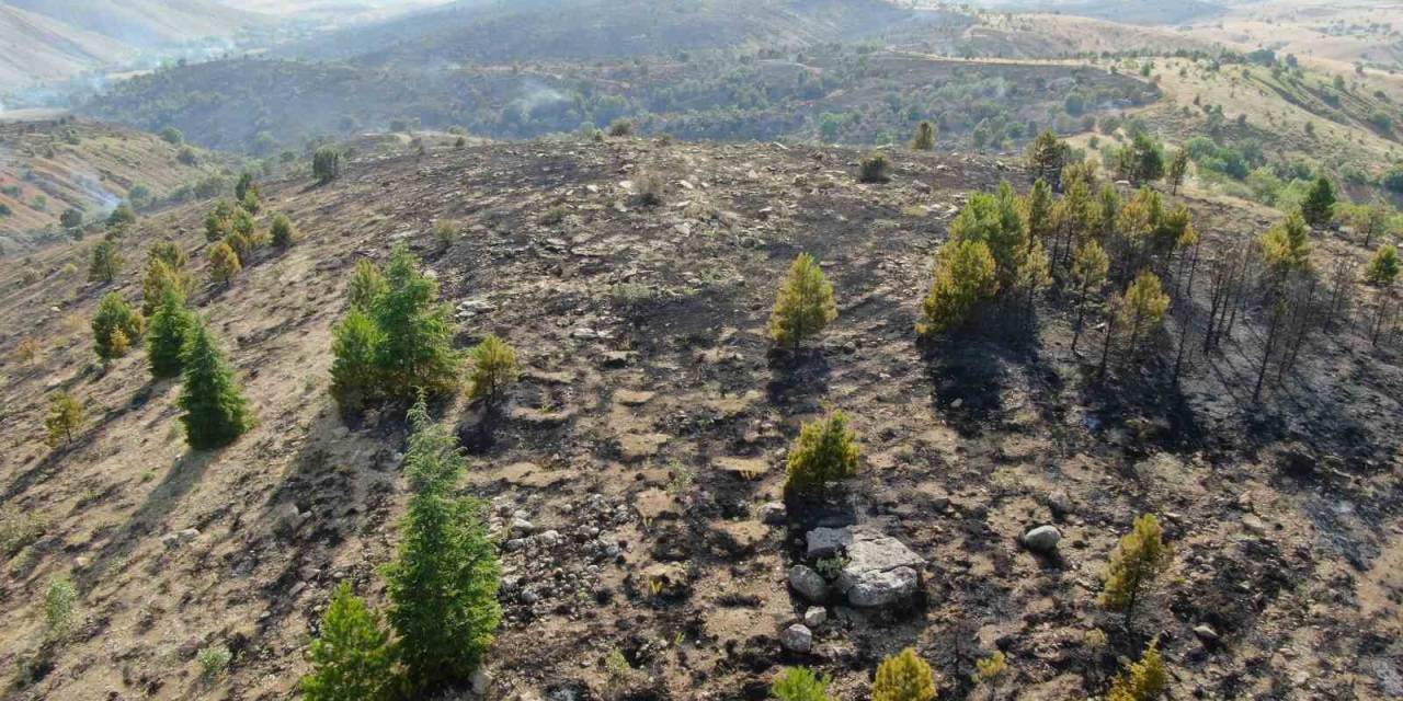 Elazığ’da Orman Yangını Kontrol Altına Alındı, Yüzlerce Dönümlük Alan Kül Oldu