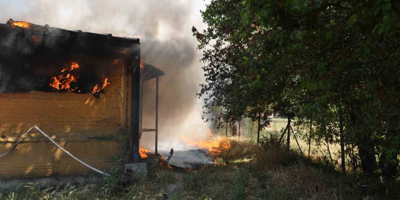 Kümes Alev Alev Yandı: 20 Bin Adet Canlı Civciv Telef Oldu