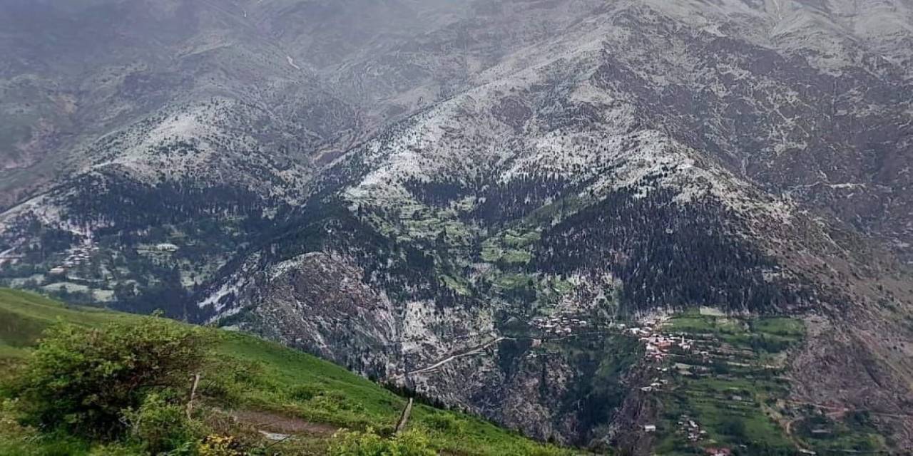 Artvin’de Dolu Yağışı