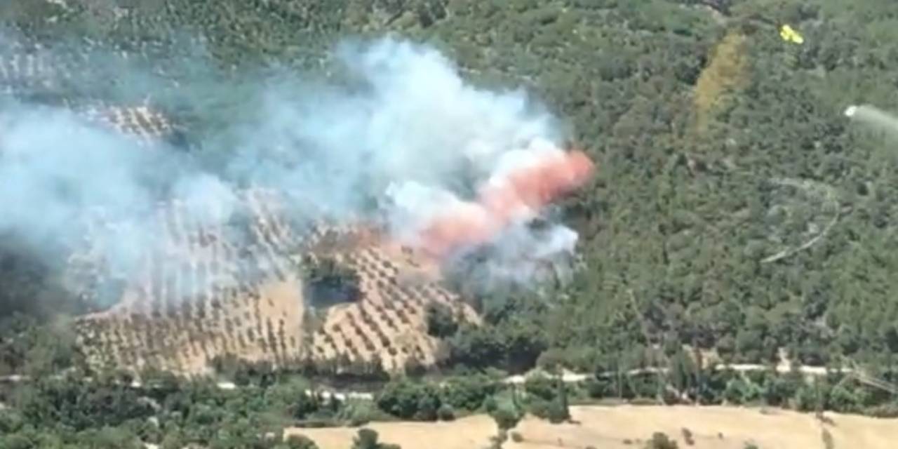 Bergama’daki Orman Yangınında Bir Mahalle Tahliye Edildi