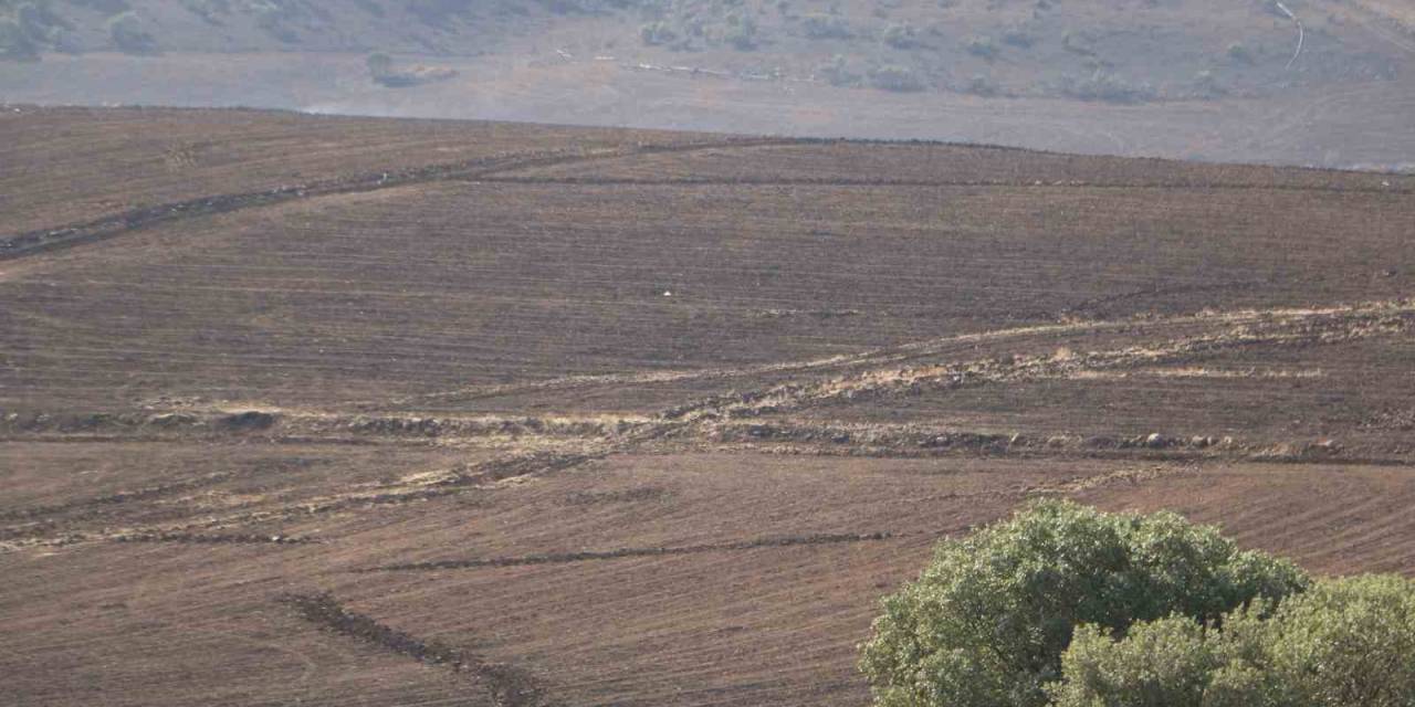 Diyarbakır’da 3 Kişinin Öldüğü, 11 Kişinin Yaralandığı Örtü Yangınının Boyutu Gün Ağarınca Ortaya Çıktı
