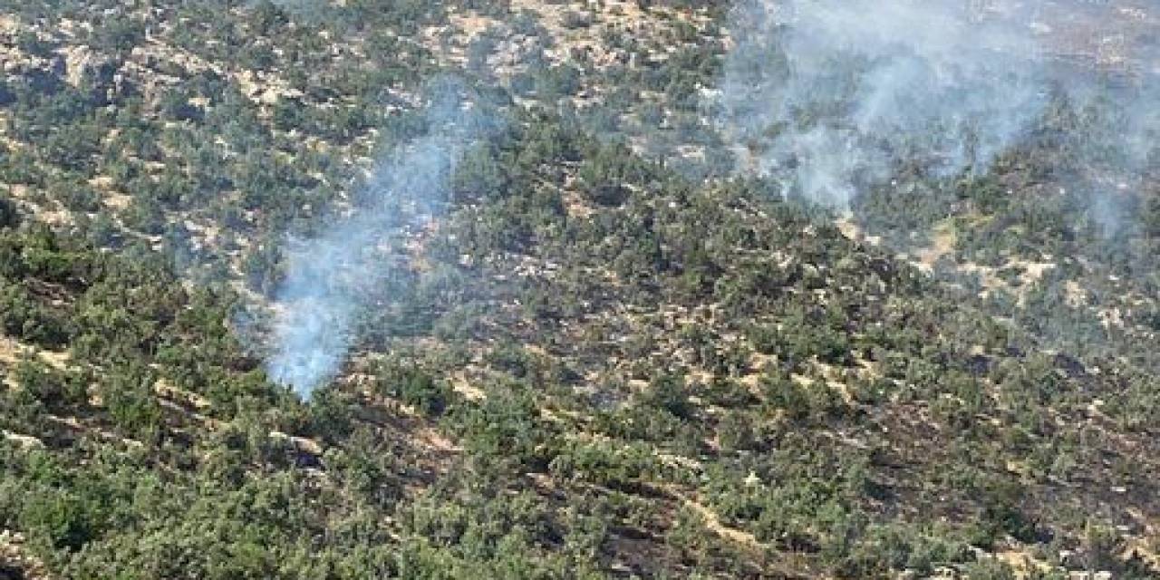 Siirt’teki Orman Yangını Kontrol Altına Alındı