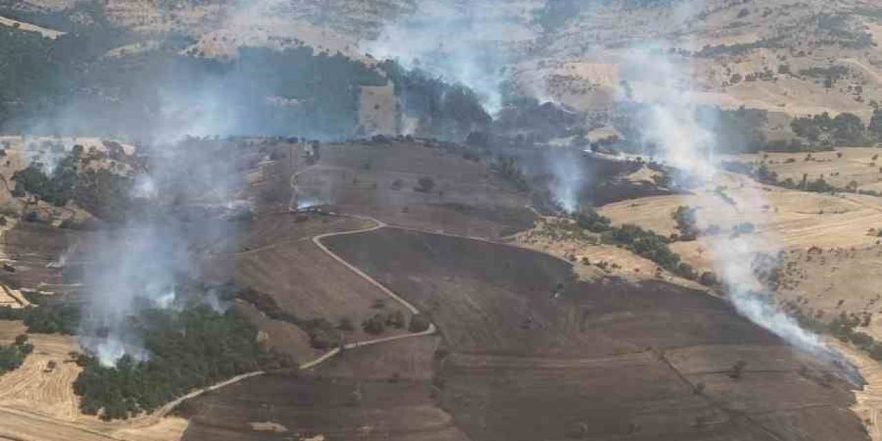 Balıkesir’deki Orman Yangını Kontrol Altında