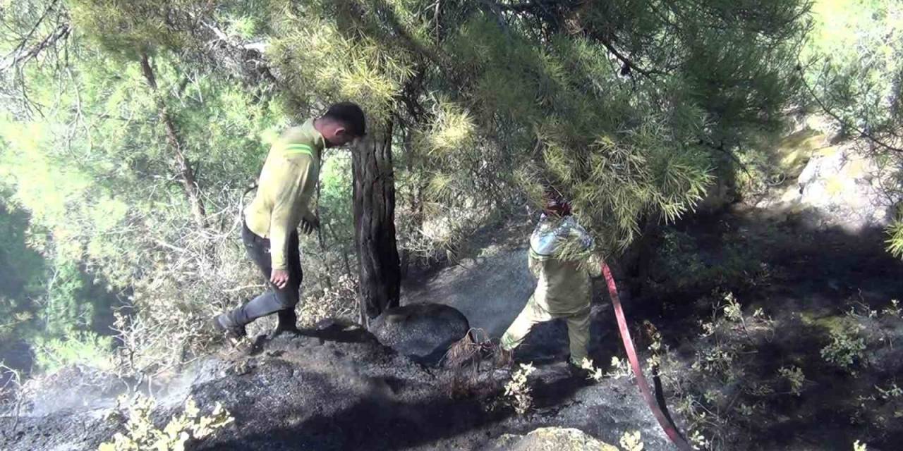 Oğuzlar’da Orman Yangını