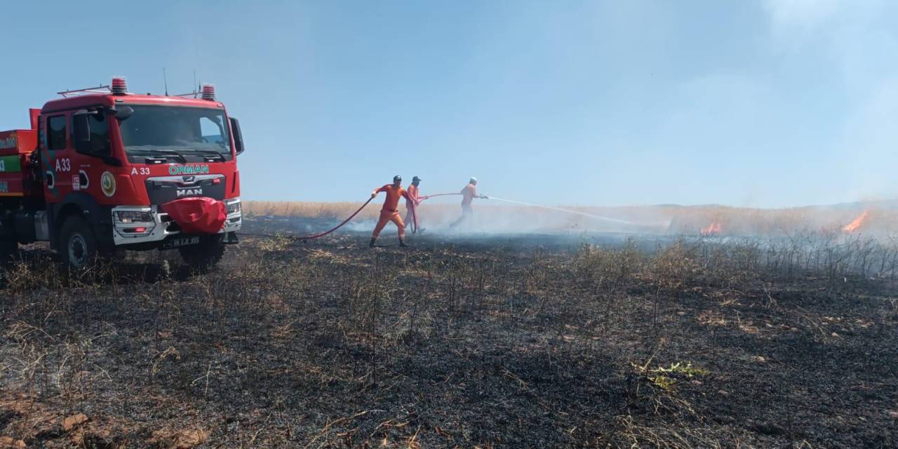 Bingöl’de Yaklaşık 100 Dönümlük Tarım Alanı Yandı