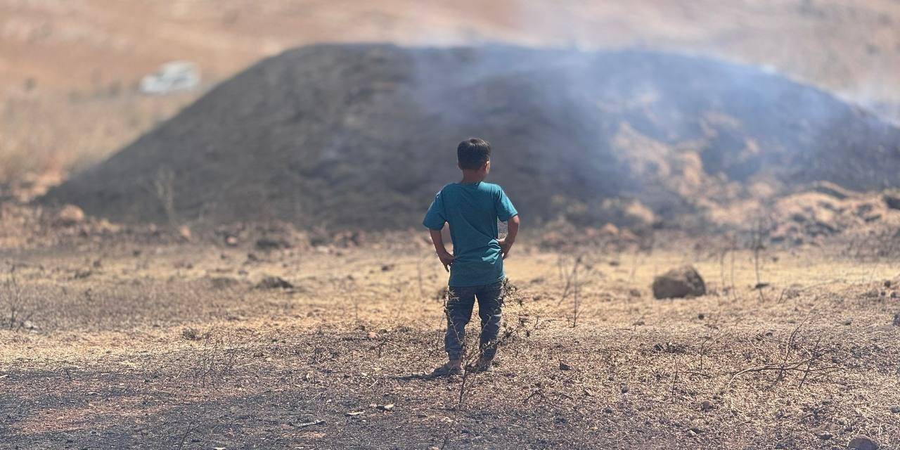 Mardin’de Yangının Ağır Bilançosu Havadan Görüntülendi
