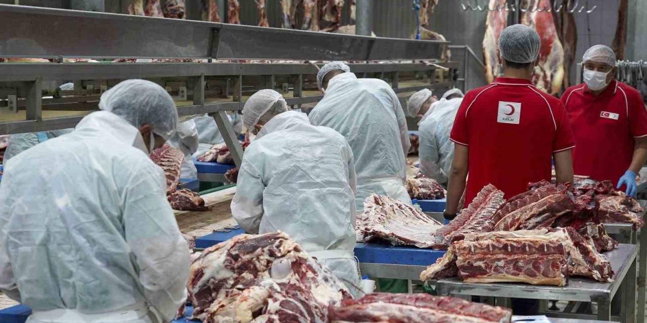 Türk Kızılay 146 Bin 683 Hisse Kurban Kesimiyle 21 Ülkede 4,2 Milyon İhtiyaç Sahibine Ulaşacak