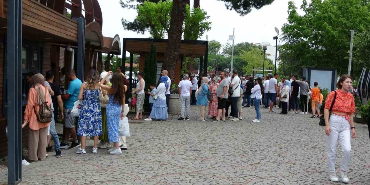 Ordu’da Teleferik Yoğunluğu