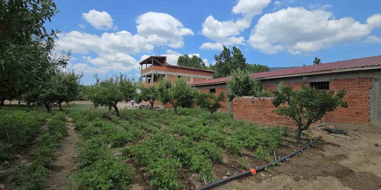 Tokat’ta Alacak Verecek Meselesi Kanlı Bitti