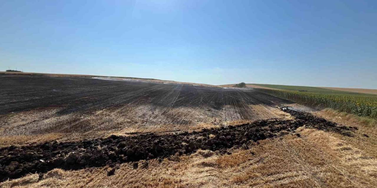 Babaeski’de Elektrik Direğine Çarpan Kuş Tarlayı Yaktı