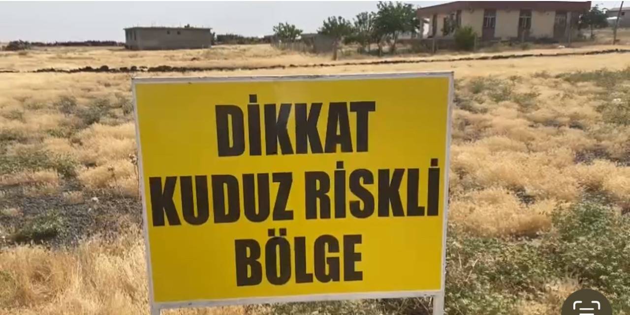 Şanlıurfa’da Bir Kuduz Vakası Daha