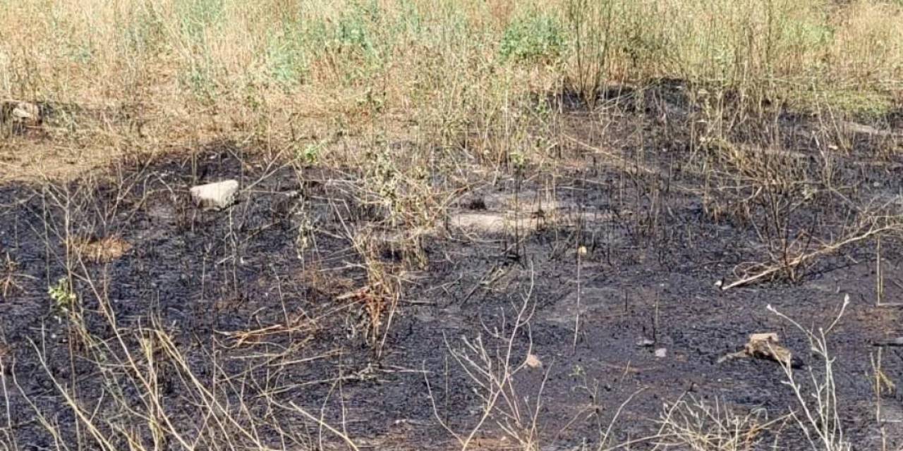 Bilecik’te Elektrik Tellerine Çarpan Kuş Sürüsü Yangına Sebep Oldu