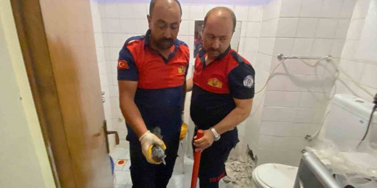 Havalandırma Boşluğunda Sıkışan Karga Yavrusu Kurtarıldı