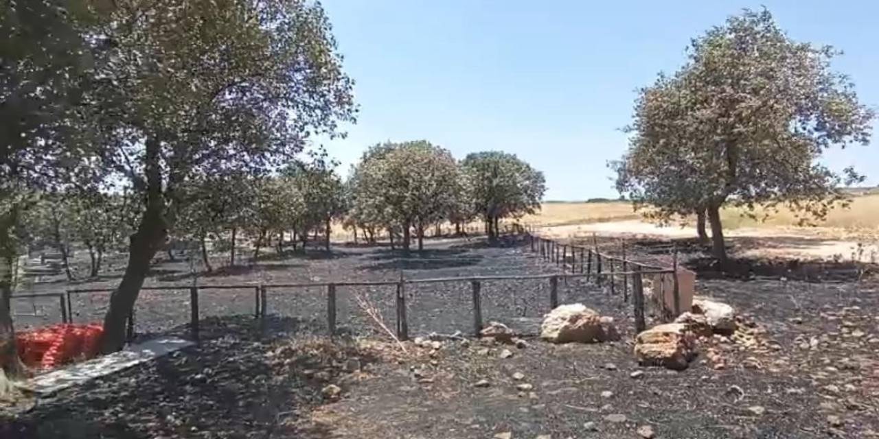 Diyarbakır Ve Mardin’deki Yangının Çıkış Sebebine İlişkin Her İhtimal Araştırılıyor