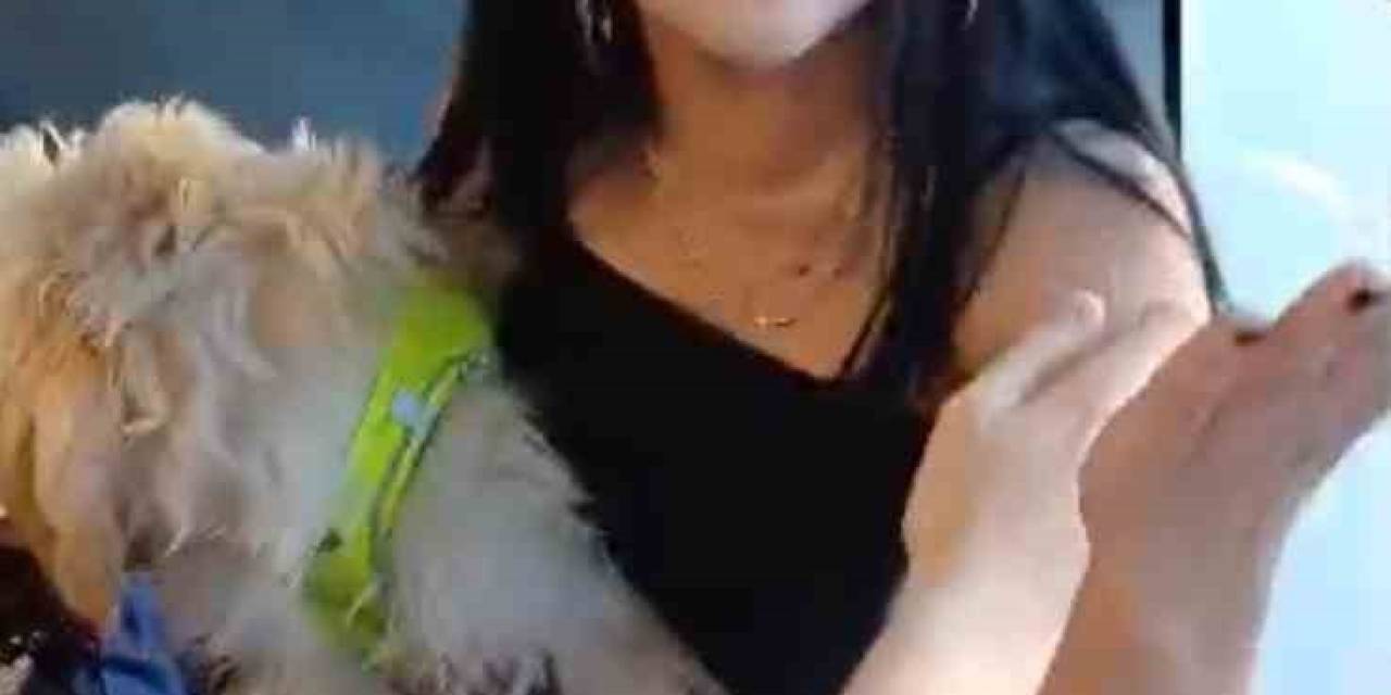 Köpekle Otobüse Bindi, Tepki Gösteren Yolcularla Tartıştı