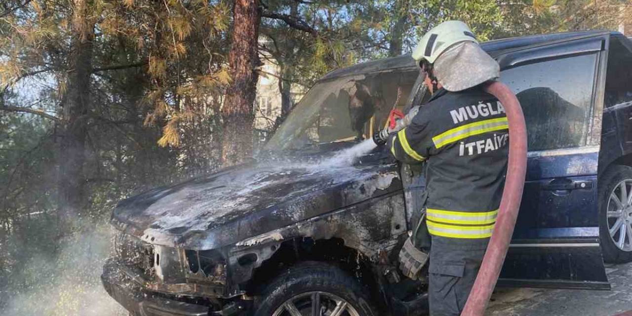 Zamanında Müdahale Orman Yangınını Önledi