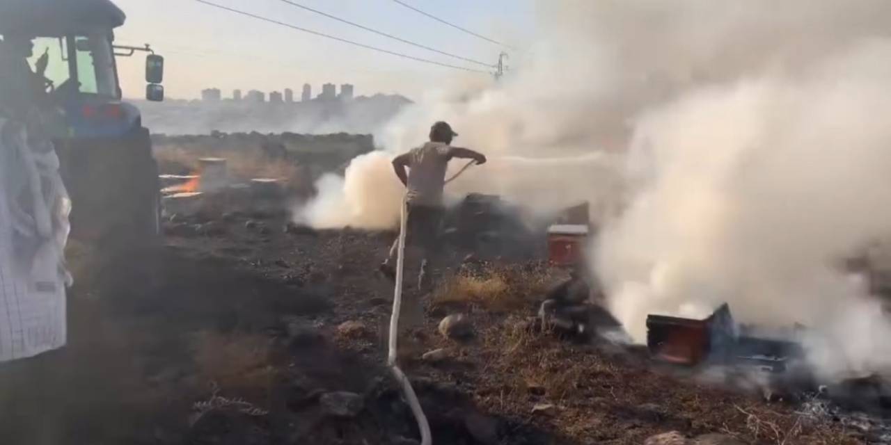 Siverek’te Çıkan Yangında Yüzlerce Arı Kovanı Kül Oldu