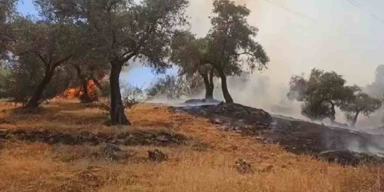 Çine’deki Yangın Kontrol Altına Alındı