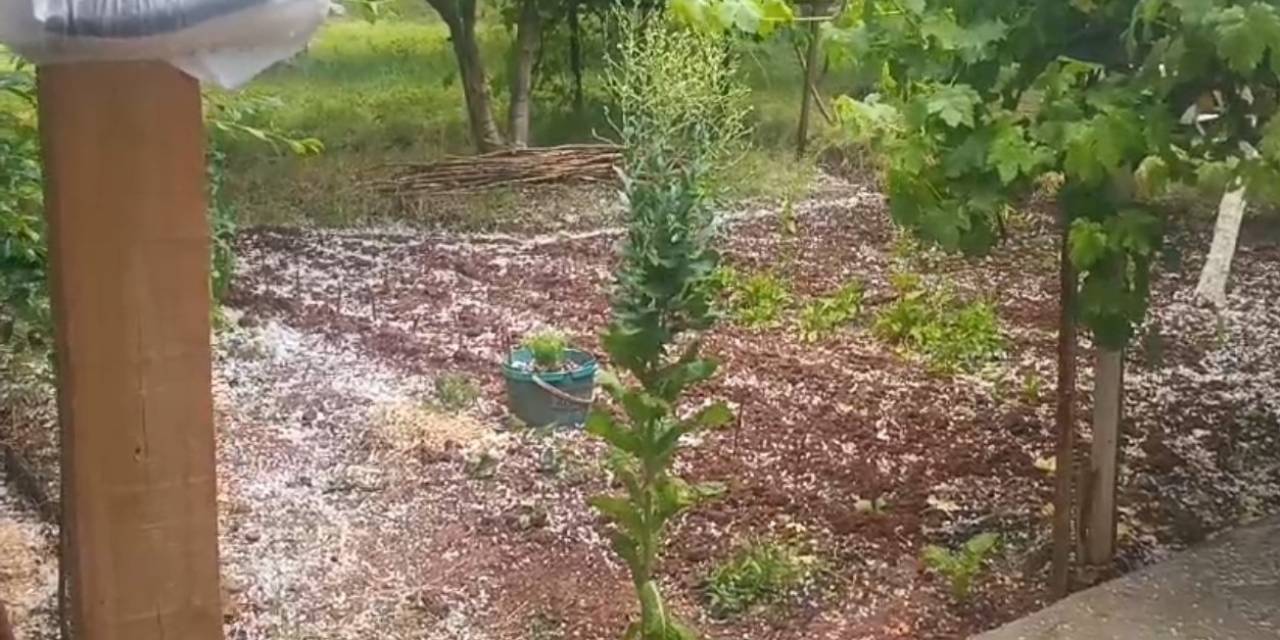 Tuzluca’da Ani Dolu Yağışı Tarım Arazilerine Zarar Verdi