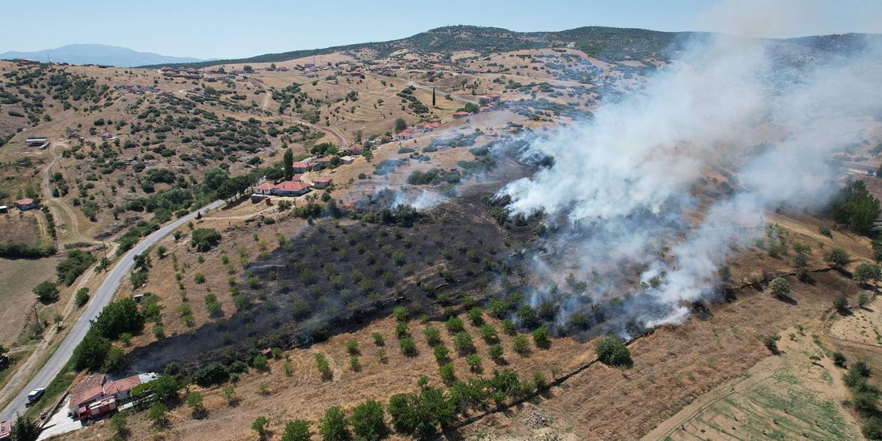 Manisa’da Makilik Alanda Yangın