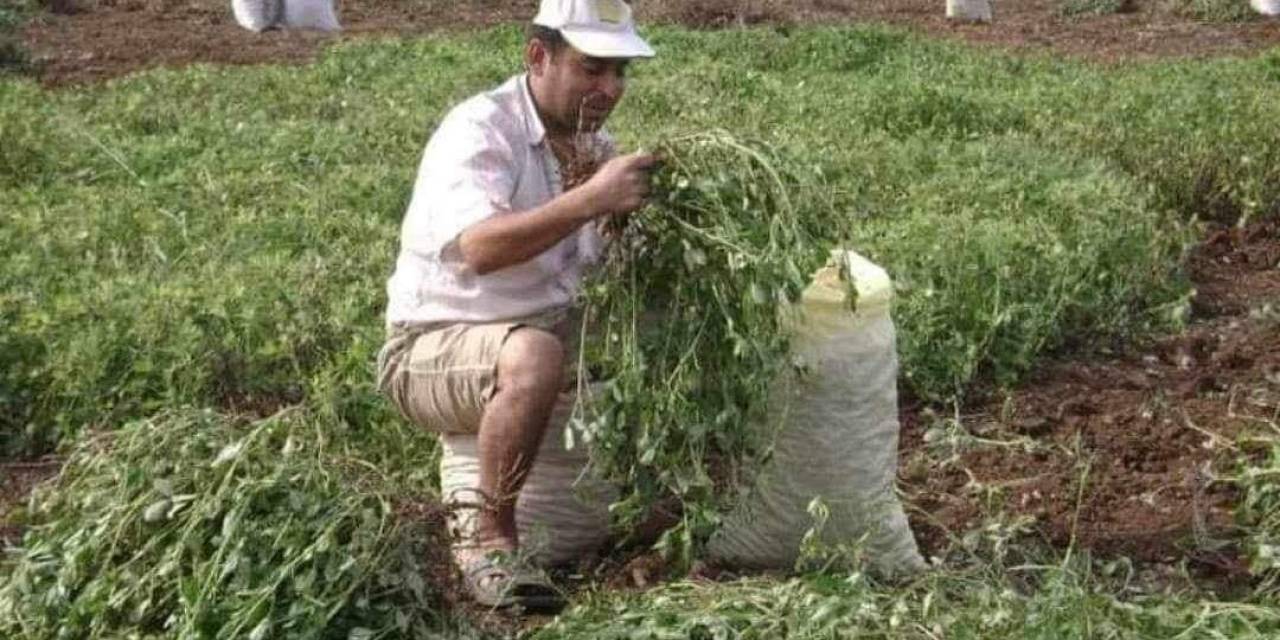 Tarla Sulamaya Giden Çiftçinin Cesedi Bulundu