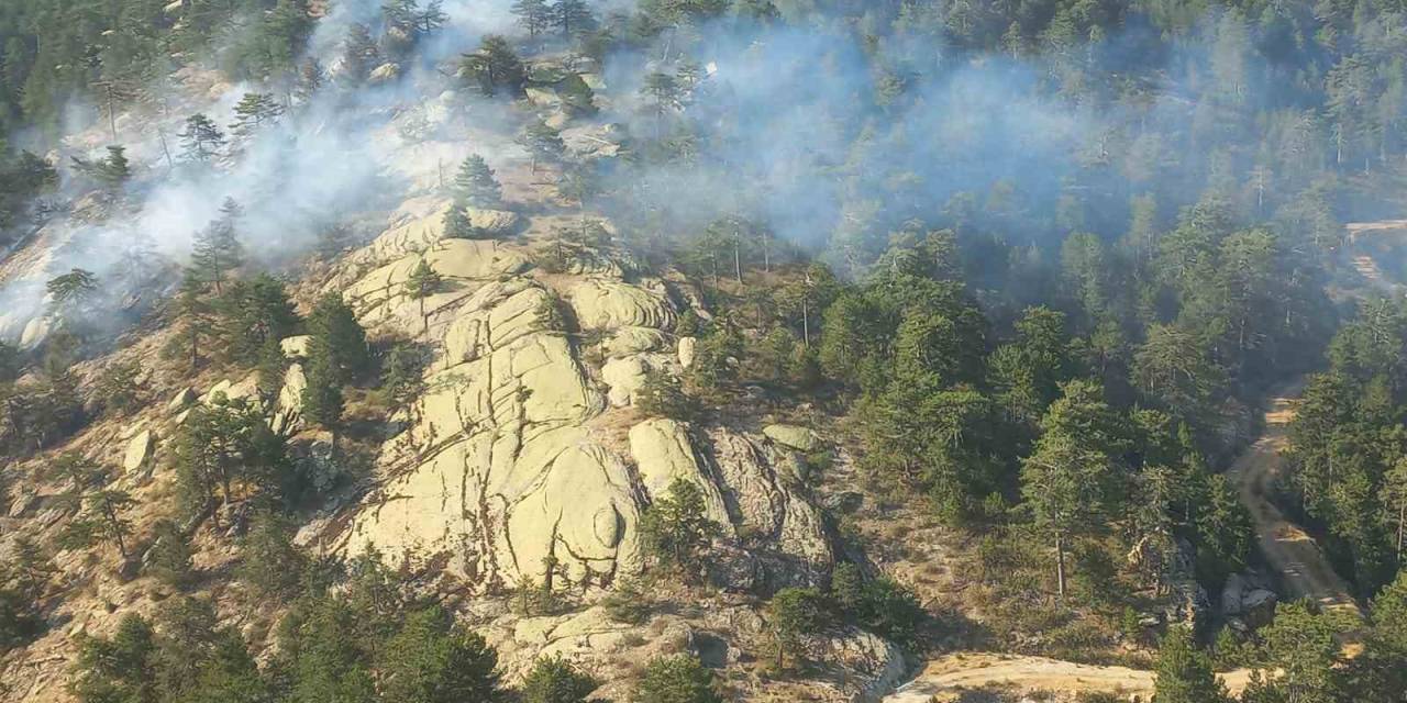Bozdoğan’daki Orman Yangını Kontrol Altına Alındı