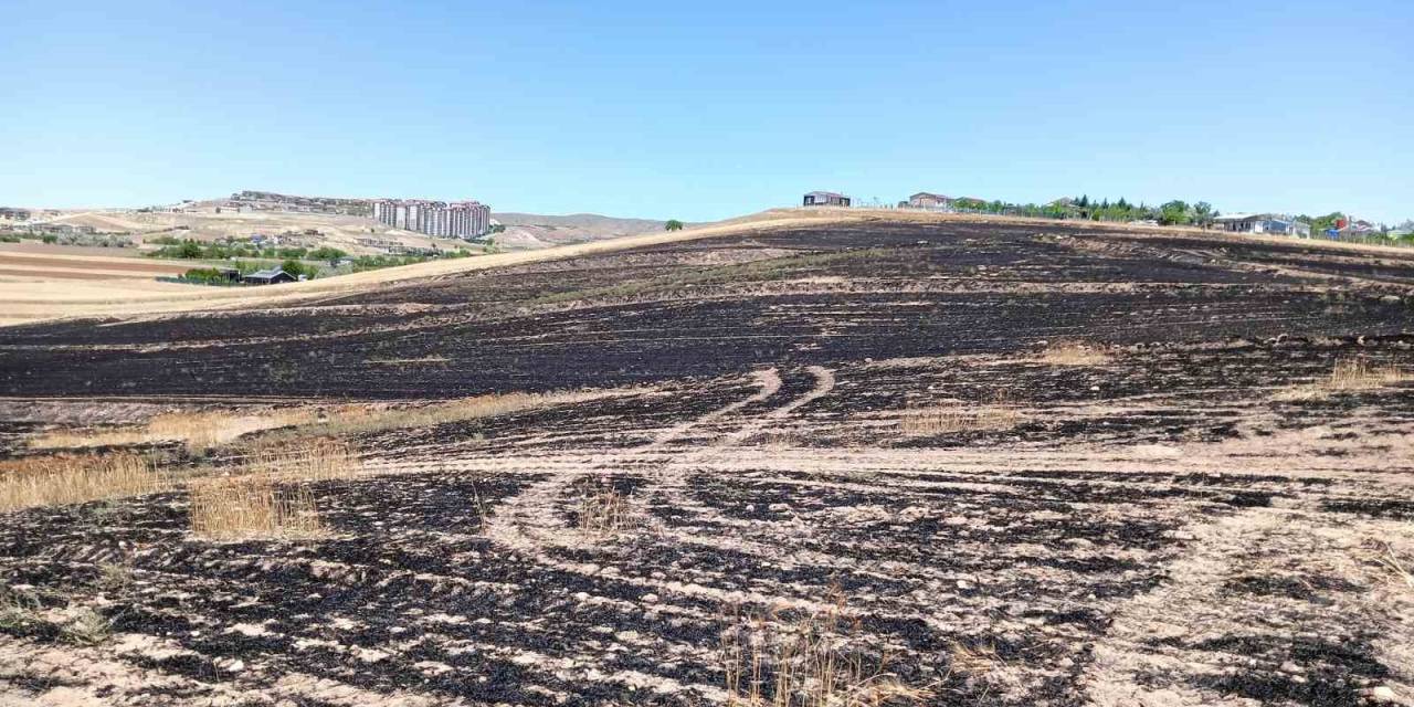 Çöpten Çıkan Yangın 300 Dönümlük Ekili Araziyi Küle Çevirdi