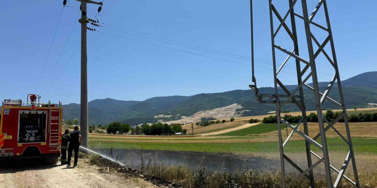 Trafodan Çıkan Kıvılcımlar Arpa Ekili Tarlayı Yaktı