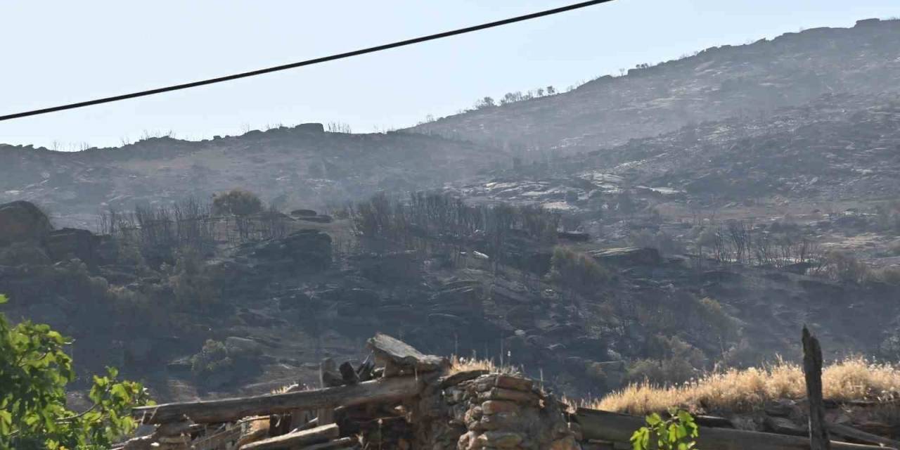 Manisa’daki Yangınlar Geçen Seneye Göre 2 Kat Arttı