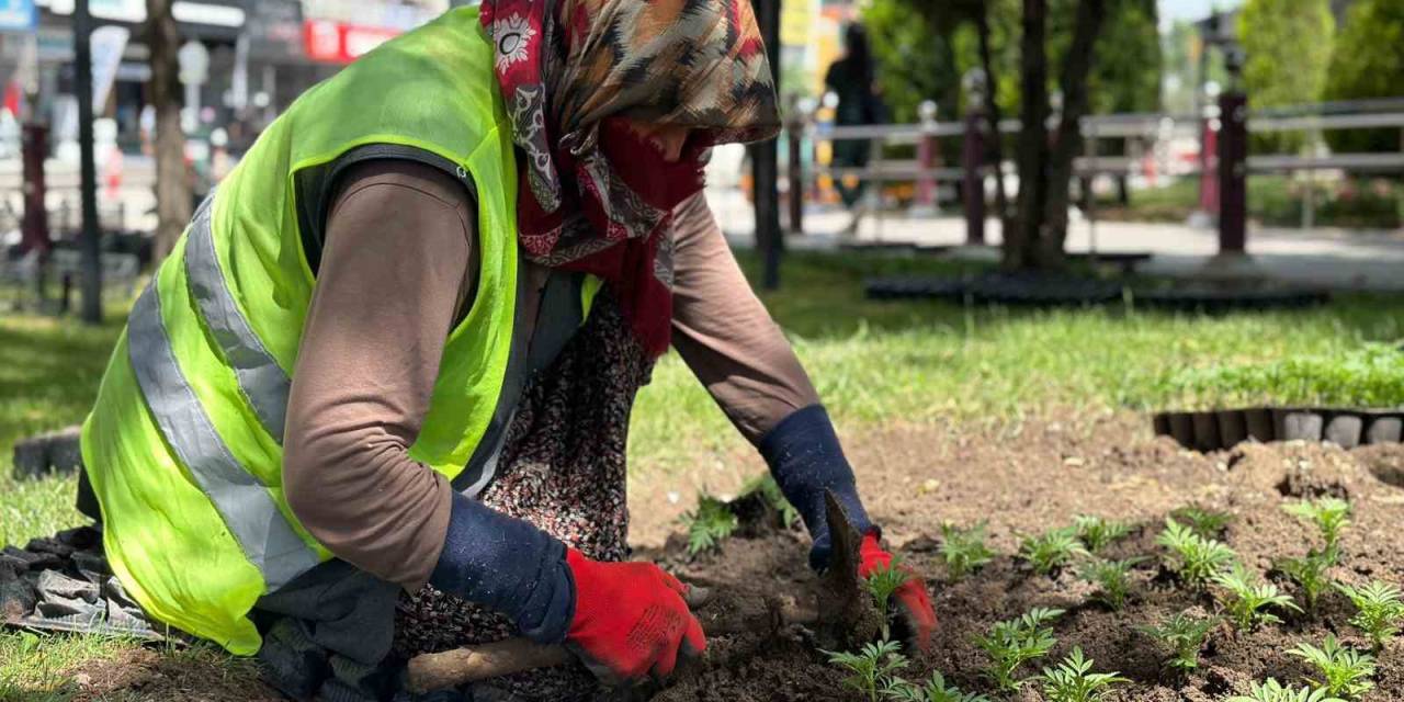 Sincan Çiçeklerle Donatıldı