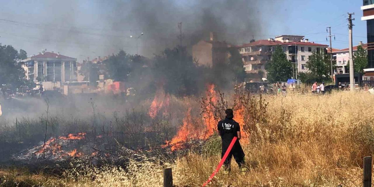 Tekirdağ’da Mahalle Arasındaki Arazi Yangını Korkuttu: 50 Güvercin Son Anda Kurtarıldı