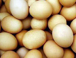 En değerli besin yumurta seçildi