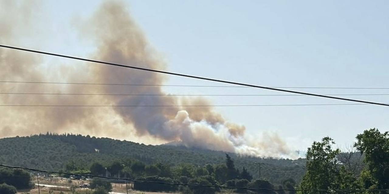 Biga’daki Orman Yangını Kontrol Altına Alındı