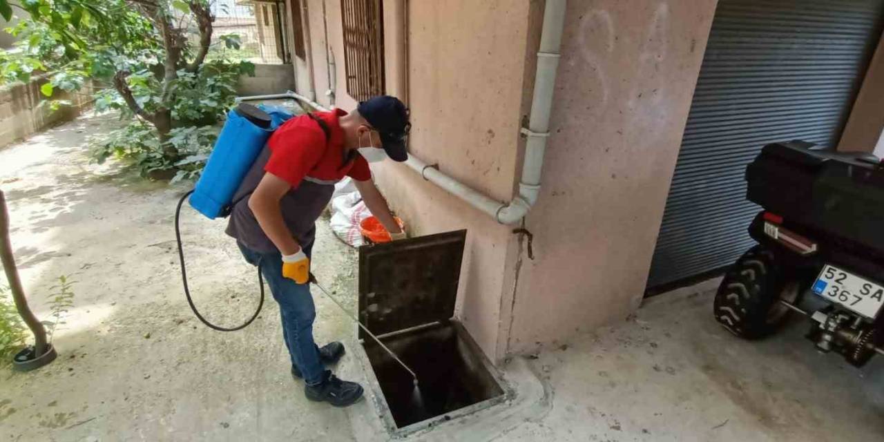 Ordu Büyükşehir, Sivrisineklere Karşı Mücadele İçin Sahada