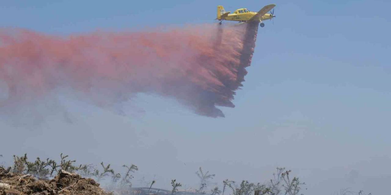 Ayvalık’taki Yangın Kontrol Altına Alındı