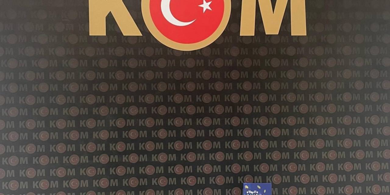 Ordu’da Organize Suç Örgütüne Yönelik Operasyon: 2 Tutuklama