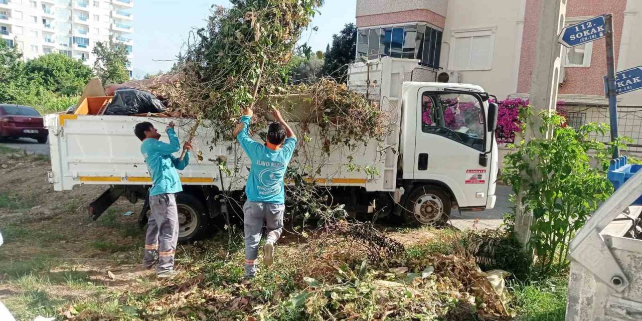 Alanya Belediyesi Bayram Boyunca 5 Bin Ton Atık Topladı